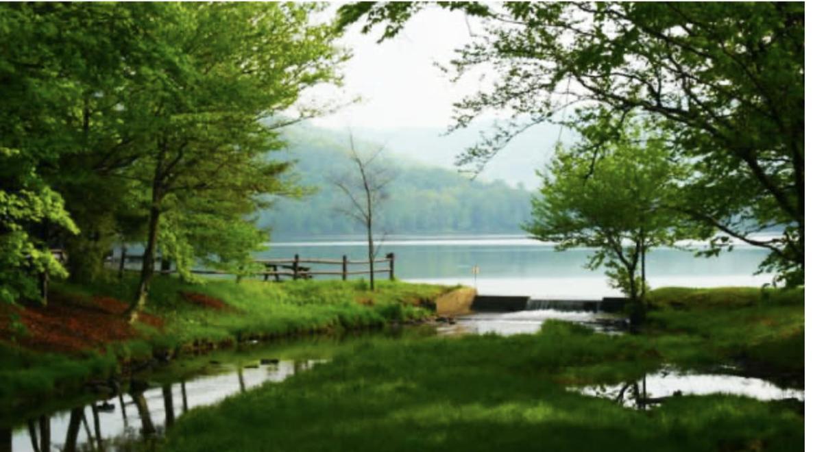 Prattvilla -Catskill -Mountain Escape 5 Bedroom ,3 Bath With Hot Tub Prattsville ภายนอก รูปภาพ